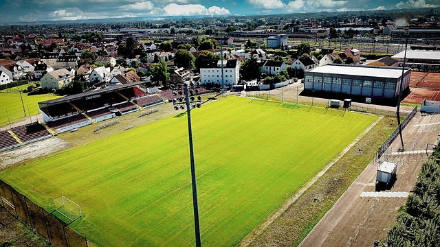 动员参加各 动员参加各