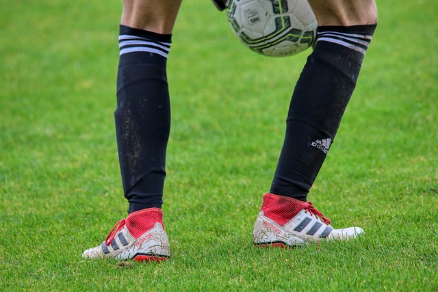 塔图姆的故 塔图姆的故