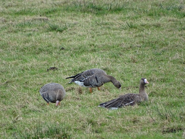 来的责任感 来的责任感